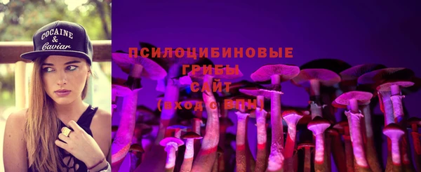 прущий лед Алексин
