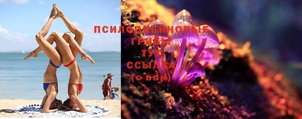 прущий лед Алексин