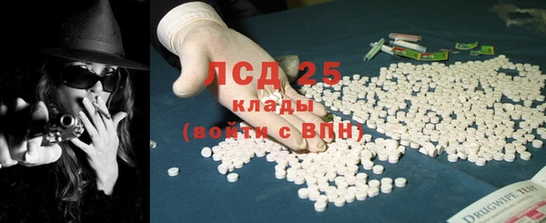 дживик Абинск