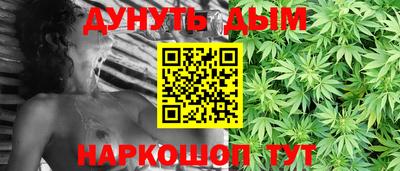 сатива Моздок