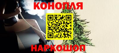 сатива Моздок