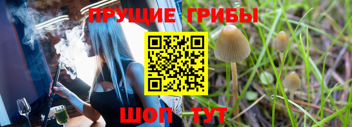 Шебекино  Псилоцибиновые грибы мухоморы  Галлюциногенные грибы Magic Shrooms  Вход с VPN 