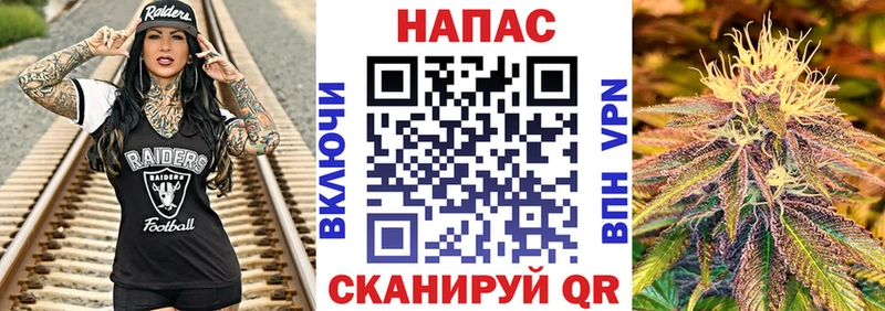 Каннабис VHQ закладки mega ССЫЛКА Шебекино